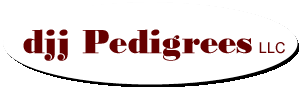 djj Pedigrees LLC